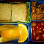 Turkey Sandwich with Lettuce, Orange Slices and More