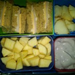 Turkey and Veggie Cheese Sandwich, Apples and More