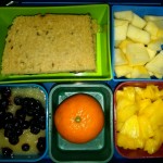 Diced Pineapple, Applesauce with Blueberries and More