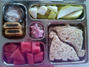 Dino Sandwiches, Watermelon and More