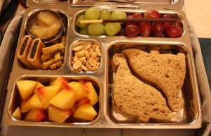 Dino PB&J, Nectarine, Grapes and More