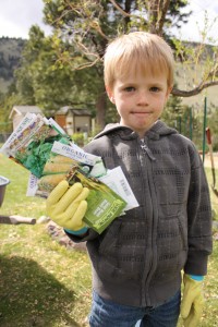 Planting Food