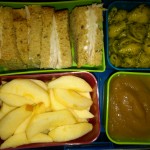 Turkey Sandwich, Apple Slices and More